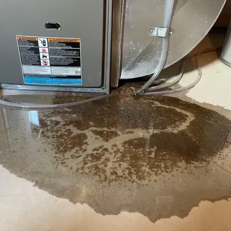 Appliance Leak Cleanup in Garrard County, KY